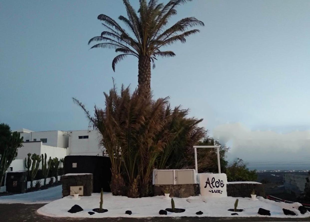 Aloelux Villa ! - Private Villa With Jacuzzi, Cinema ,Massage ,Wonderful View, Art Desing Villa Conil Bagian luar foto